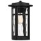 Quoizel Uma 1-Light Matte Black Mini Pendant UMA1508MBK - alternate 6